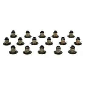 Ss46073 Mahle For Mini Cooper 2007-2015 Intake/exhaust Valve Stem Oil Seal Set