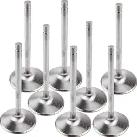 10556-8 Manley Budget Performance Intake Valves