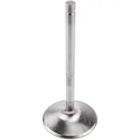 10576-1 Manley Budget Performance Intake Valve