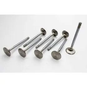 10722-8 Manley Street Flo Valves