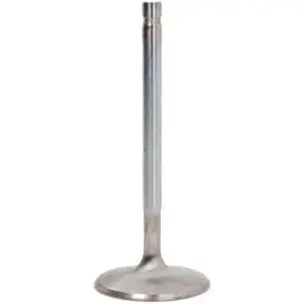 10728-1 Manley Street Master Flo Intake Valve