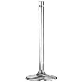 10754-1 Manley Street Master Intake Valve