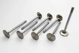 10765-8 Manley - Engine Exhaust Valve