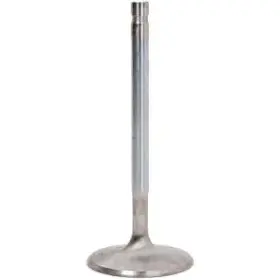 10766-1 Manley Street Master Flo Intake Valve