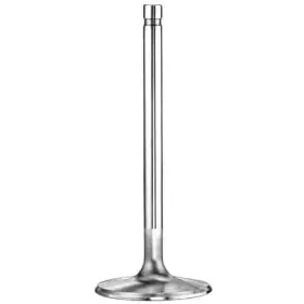 10776-1 Manley Street Master Intake Valve