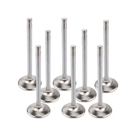 11305-8 Manley 11305 8 Valves