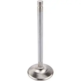 11319-1 Manley Race Master Exhaust Valve