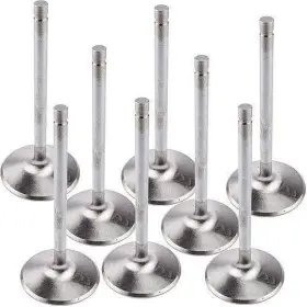 11322-8 Manley 11322 8 Valves