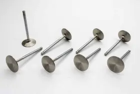 11352-8 Manley Fits Pontiac R/f 2.110 Intake Valves