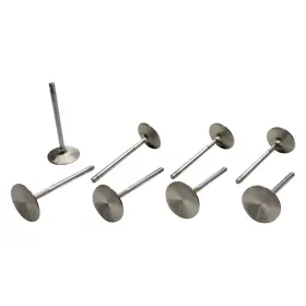11365-8 Manley - Domestic Race Series Exhaust Valve Set
