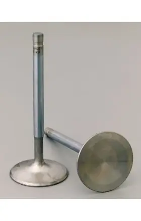 11500-1 Manley Race Series Stainless Steel Valve