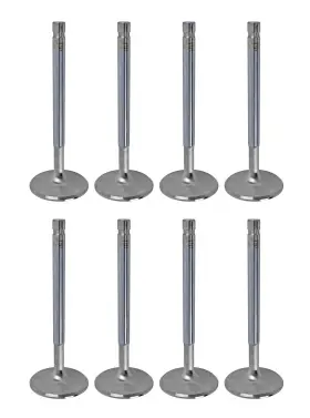 11506-8 Manley Race Series Stainless Steel Valve