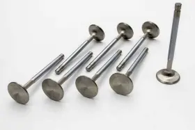 11531-8 Manley - Engine Exhaust Valve
