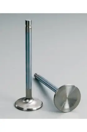 11539-1 Manley Severe Duty Series Stainless Steel Valve