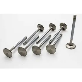 11566-8 Manley Race Series Stainless Steel Valves