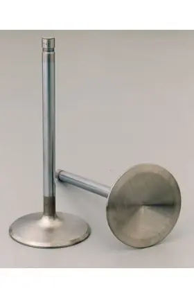 11636-1 Manley Race Series Stainless Steel Valve