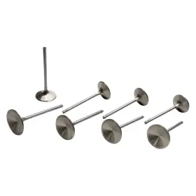 11640-8 Manley - Race Master Intake Triple Groove Valve Set