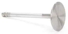 11782-1 Manley Severe Duty Valve