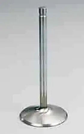 11834-1 Manley Severe Duty Valve