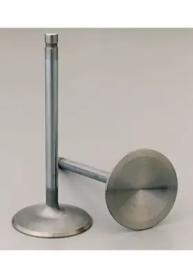11850-1 Manley Severe Duty Series Stainless Steel Valve