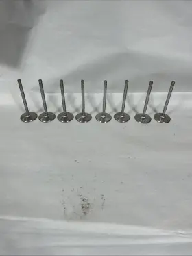 11882-epn Manley Severe Duty Pro Flo Series Stainless Steel Valves 8 11882 Epn Open Box