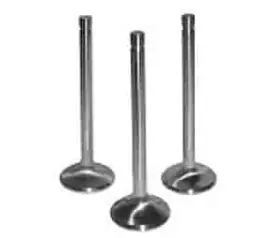12343-8 Manley Severe Duty Valves