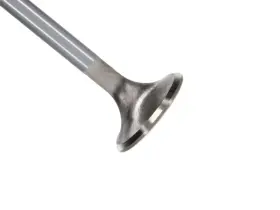 12631-1 Manley Engine Exhaust Valve - Fits Ford Gt350 Voodoo 5.2l Rm Valves. 1.2