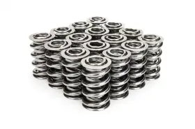 221441p-16 Manley Valve Spring Spring-1441 Polished