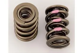 221447-1 Manley Nextek Valve Spring