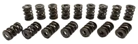 22145416 Manley Valve Spring