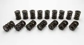 221456-16 Manley Valve Spring Spring-1.500 Double