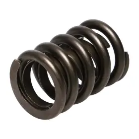 22406-16 Manley Street Master Valve Springs