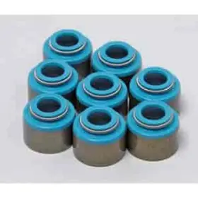 24045-8 Manley Viton Valve Stem Seals 8/pkg