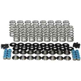 26380638ks Manley Nextek H.p. Valve Spring Kit Gm Ls-series 1.311 O.d. 0.650 I.d