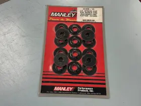 42466-16 Manley Spring Cup