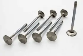 11626-8 Manley Performance For Ford Coyote 5.0l Dohc Race Master 38mm Head .5.96mm Stem 4.722 Length