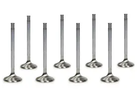 11671-8 Manley Performance Products For Mopar 6.1l Hemi R/m 1.625 Exhaust Valves