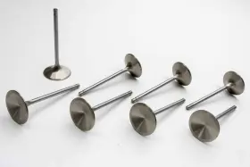 11874-8 Manley Performance Products Bbc R/m 2.250in Intake Valves