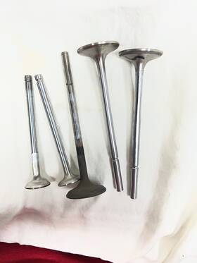 Maserati 310620302 Inlet Valves