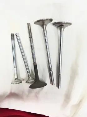 310620302 Maserati Inlet Valves