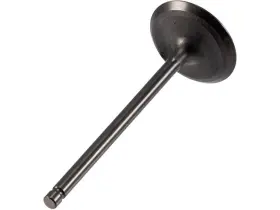 26735csvt Melling For 2011-2022 Ford F150 Intake Valve 2012 2013 2014 2015 2016 2017