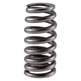 466574 Melling For Ford F-250 Super Duty 2020 Intake Valve Spring
