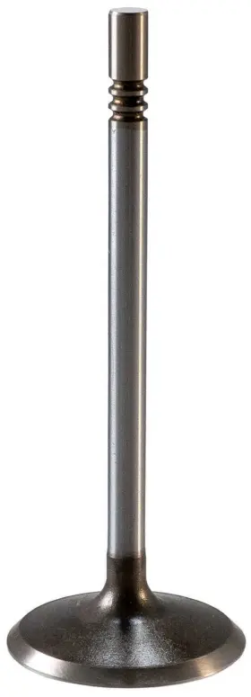 Melling 729295186465 Engine Intake Valve-stock V1699