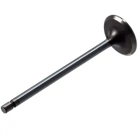 Melling 729295187684 V1741 Stock Replacement Intake Valve