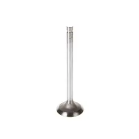 Melling 729295187738 Engine Intake Valve P N V5520