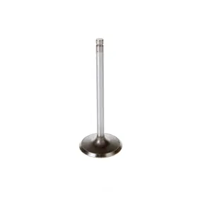 Melling 729295190882 Engine Intake Valve-stock V1934