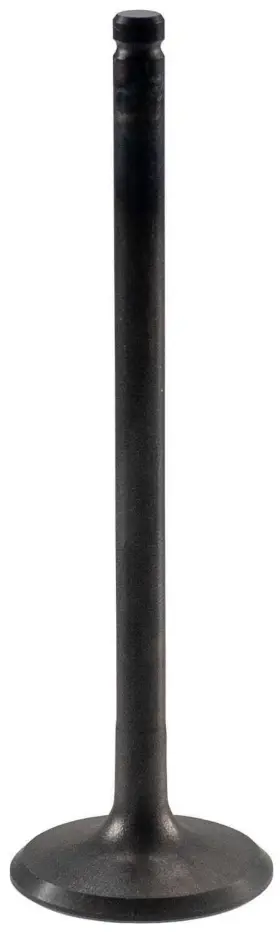 Melling 729295190974 Engine Intake Valve-stock V3038 Fits 03-05 Kia Rio 1.6l-l4