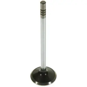 Melling 729295191865 Engine Exhaust Valve Fits 2011-2017 Ford F-150 Mustang