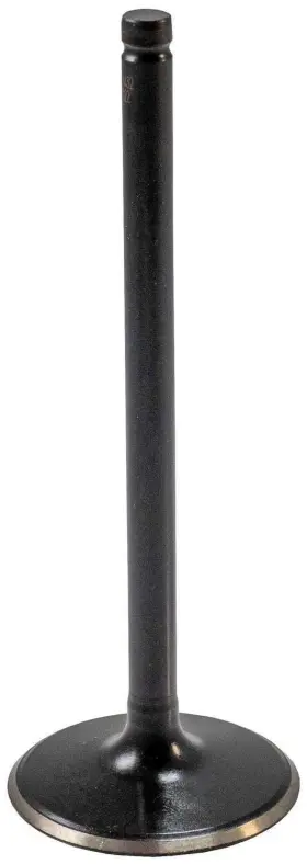 Melling 729295192244 Engine Intake Valve-stock V3432