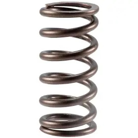 Vs-1575 Melling Stock Replacement Valve Spring